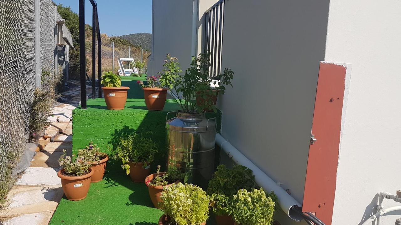Anatoli Studios Agios Fokas (Laconia) Exterior foto